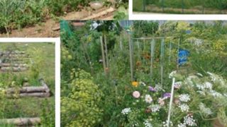 Le centre de détention de Toul (54) a reçu le 1er prix dans la catégorie « jardin existant ». ©CD Tours/ Greenlink